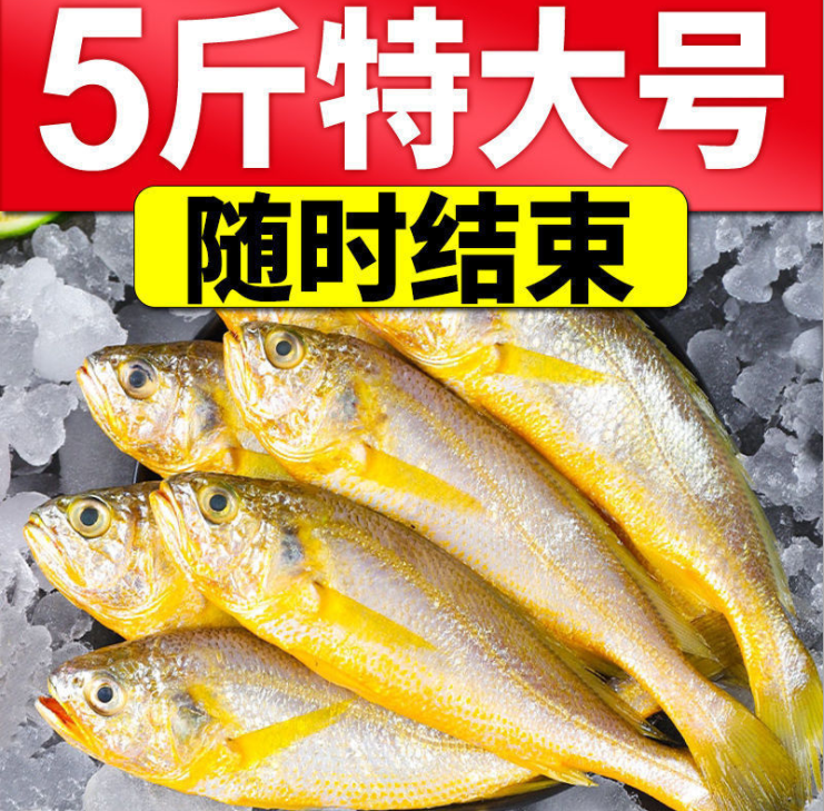 整箱大黄花鱼新鲜黄花鱼冷冻海捕鱼水产鲜活小黄花鱼整条海鲜批发
