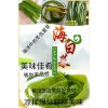 盐渍海白菜梗海白菜梆日本人长寿的秘诀吃海洋中的食物5斤装包邮