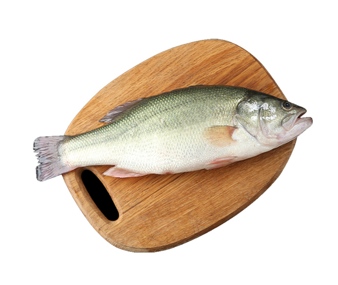 生鲜鲈鱼400g-450g