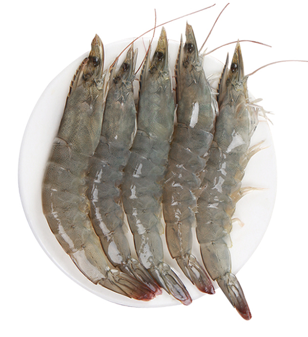 冻虾450g-500g 顺丰包邮