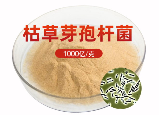 枯草芽孢杆菌创益生物农用水产养殖发酵饲料用
