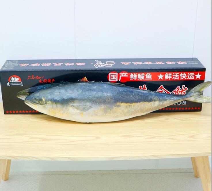 整条大鲅鱼海鲜特产新鲜