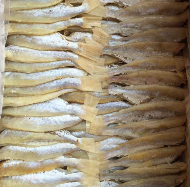 产地货源水产干货咸鱼（目肉鱼干）12千克/箱