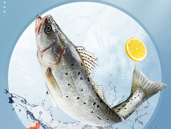 三去白蕉海鲈鱼 净重350-400g/条