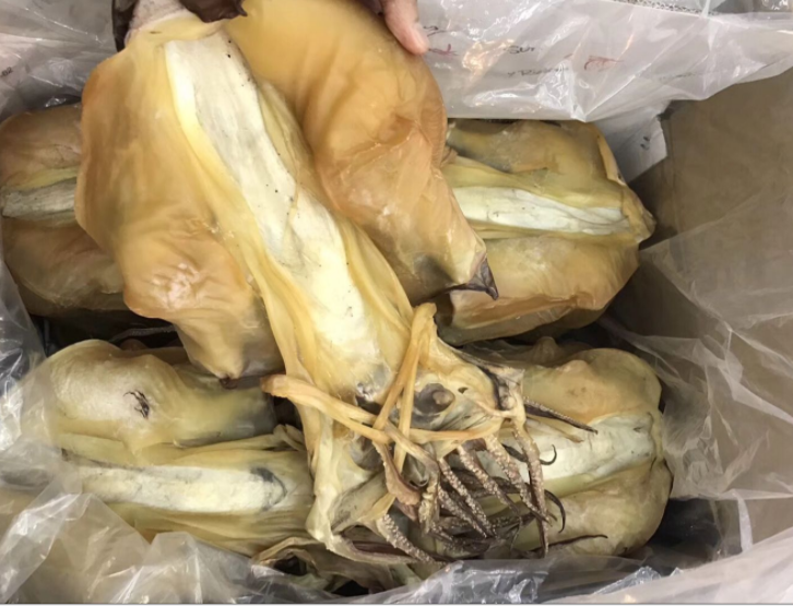 产地货源广东水产干货墨鱼50斤一件