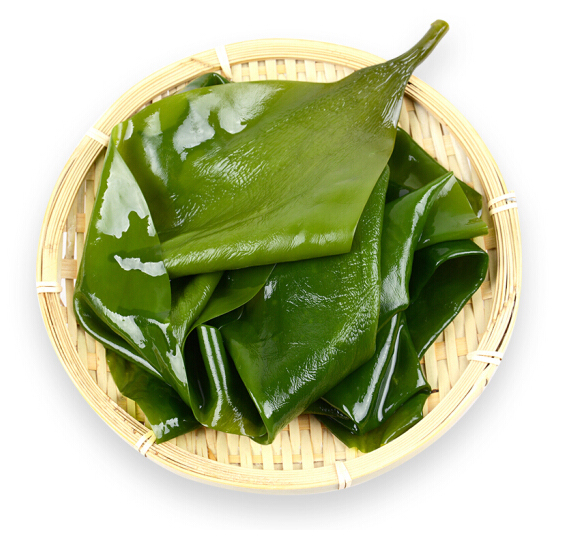 国产有机鲜海带1Kg