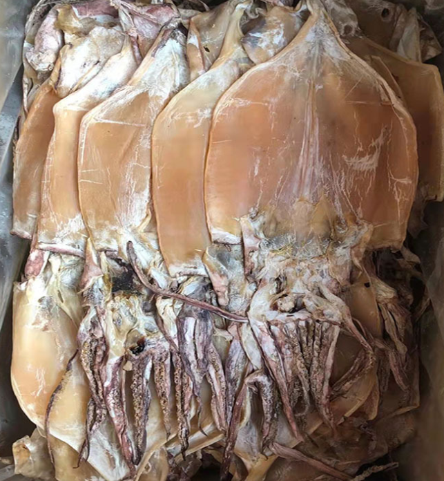 干鱿鱼  22斤装