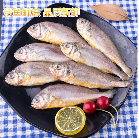 深海海捕小黄花鱼700g 20-24条