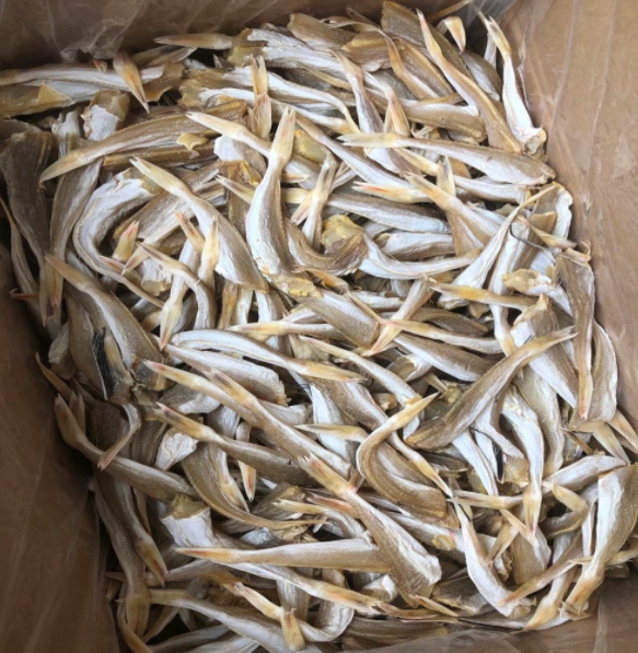 六角鱼 角肉 红头鱼 鱼干 海产品 20斤装