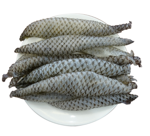 鱼皮食材冷冻凉拌新鲜原味