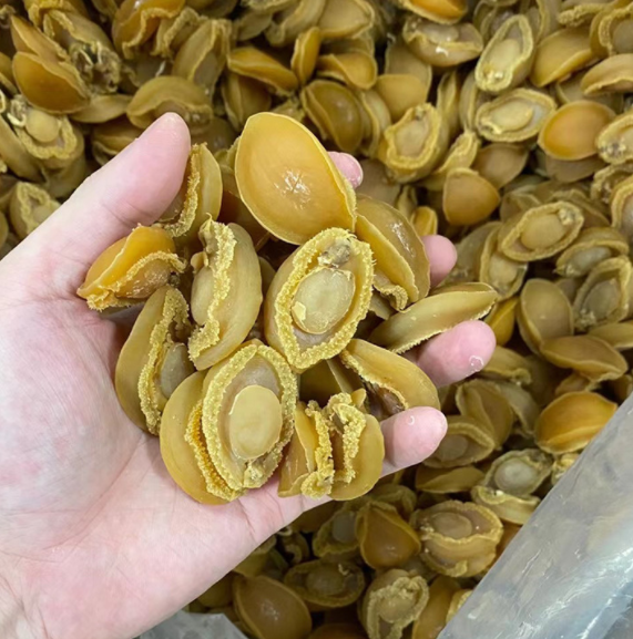 大连鲍鱼干货 50头