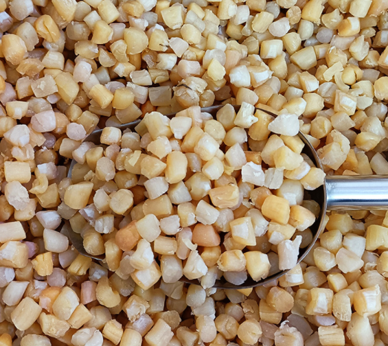 水产海鲜干货淡干瑶柱干贝 约400头500g