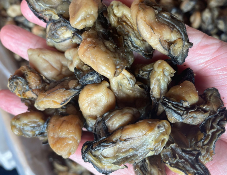 生蚝干 蚝豉 牡蛎干 海鲜水产干货 30斤装