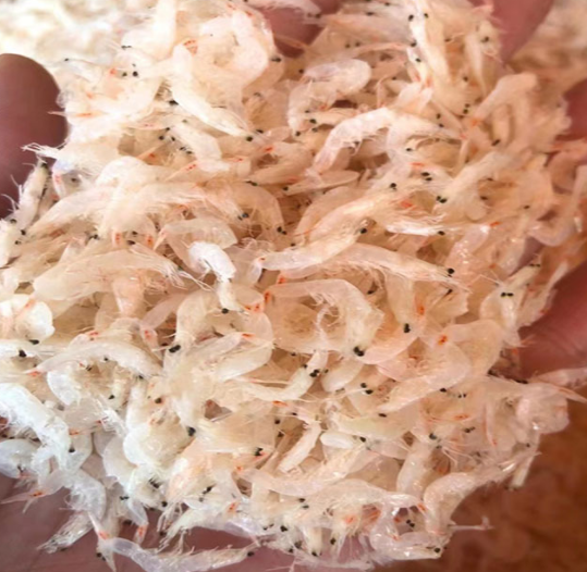 皮虾米虾仁虾干熟虾皮200g海味