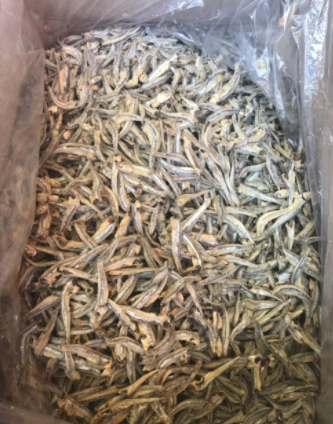 公鱼 公干鱼 鱼干 海鲜干货 鱼仔 海味干货