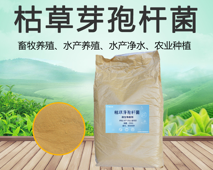 1000亿水溶枯草芽孢杆菌饲料添加剂 养殖水产农业通用型