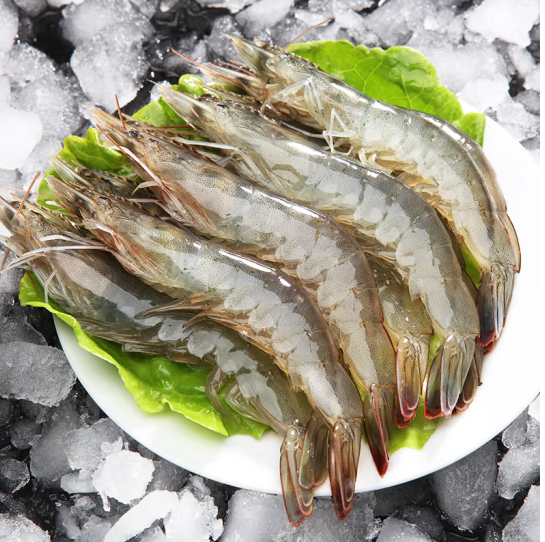 鲜冻青虾冷冻海虾2000g 15-18厘米